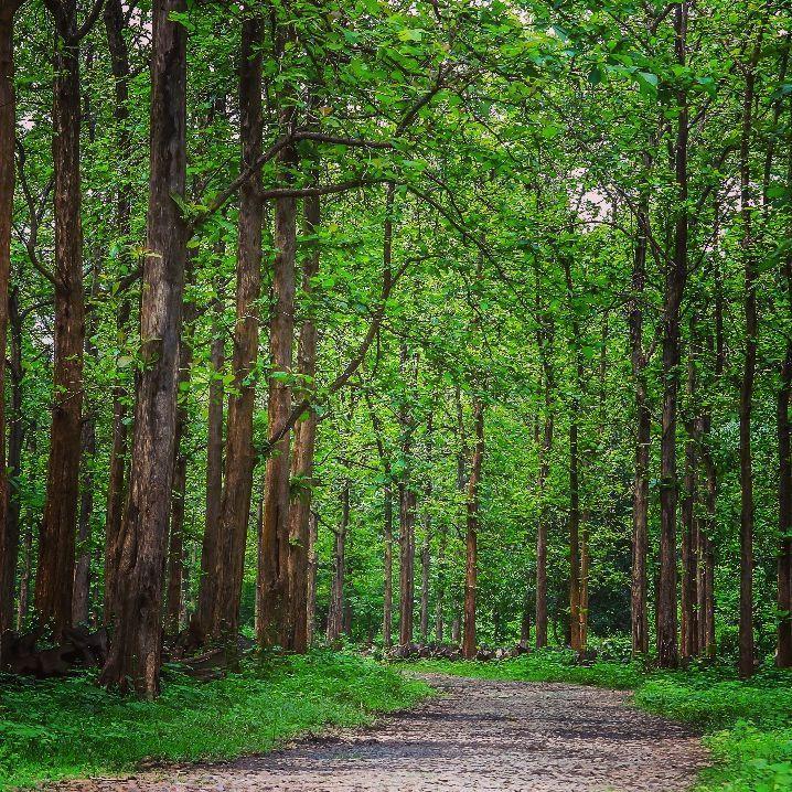 Nilambur Tourism